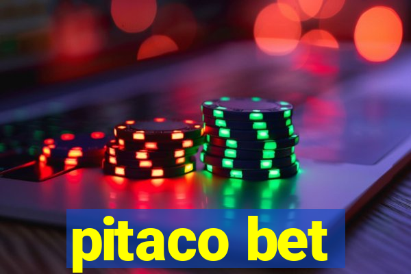 pitaco bet